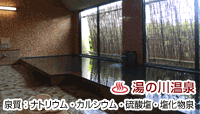 日本三美人の湯 湯元 湯の川
