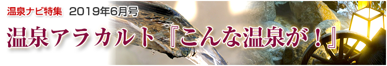 ����i�r���W�A���J���g�o�i�[