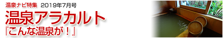 ����i�r���W�A���J���g�o�i�[