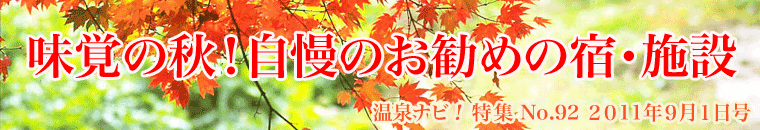 ����i�r���W9�����o�i�[