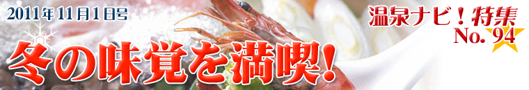 ����i�r���W11�����o�i�[