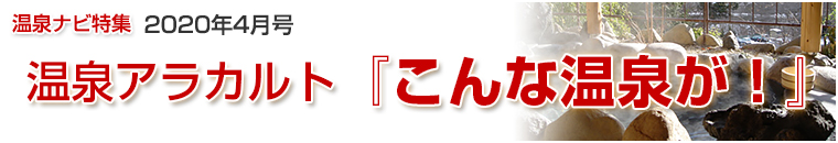 ����i�r���W�A���J���g�o�i�[