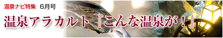 ����i�r���W�A���J���g�o�i�[