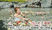 qۗ{Z^[ Xт̉