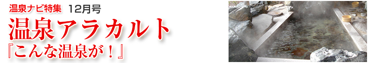 ����i�r���W�A���J���g�o�i�[