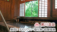  鉑