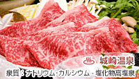 艷 h 