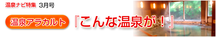 ����i�r���W�A���J���g�o�i�[