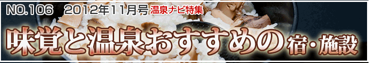 ����i�r���W11�����o�i�[