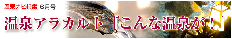 ����i�r���W�A���J���g�o�i�[