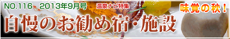 ����i�r���W9�����o�i�[