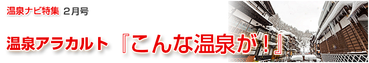 ����i�r���W�A���J���g�o�i�[