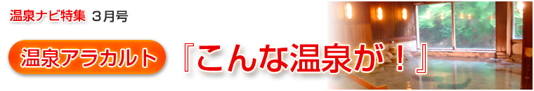 ����i�r���W�A���J���g�o�i�[