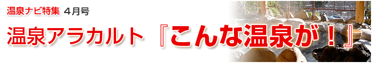 ����i�r���W�A���J���g�o�i�[