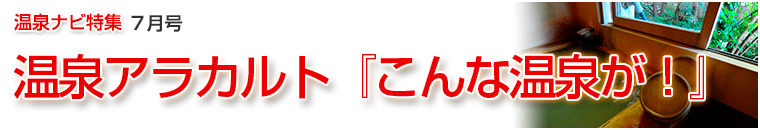 ����i�r���W�A���J���g�o�i�[