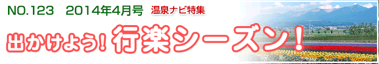 ����i�r���W4�����o�i�[