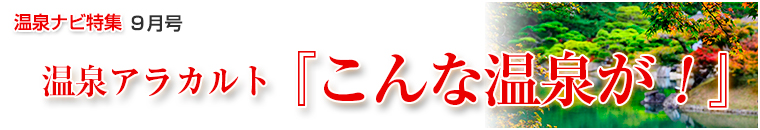 ����i�r���W�A���J���g�o�i�[