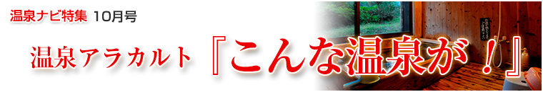 ����i�r���W�A���J���g�o�i�[