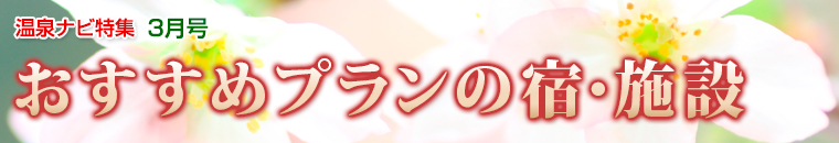 ����i�r���W�o�i�[