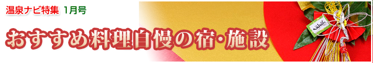 ����i�r���W�o�i�[