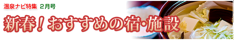 ����i�r���W�o�i�[