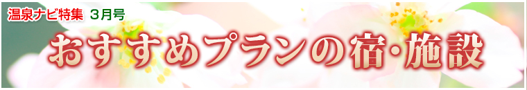 ����i�r���W�o�i�[