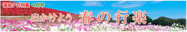 ����i�r���W�o�i�[