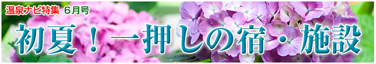 ����i�r���W�o�i�[