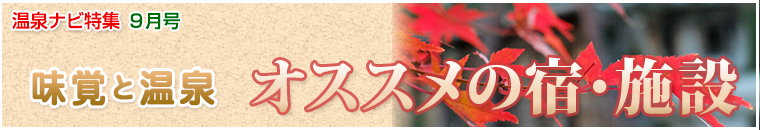 ����i�r���W�o�i�[