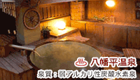 䔪̐H̏h lG ʓ~