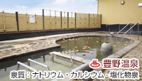豊野温泉 りんごの湯