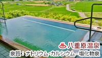 アートヴィレッジ明神館