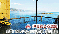 磯料理・海辺の湯の宿 平鶴
