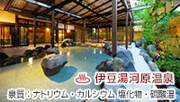 ニューウェルシティ湯河原