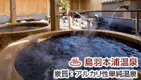 サン浦島 悠季の里
