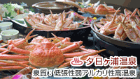 ݂̂藷