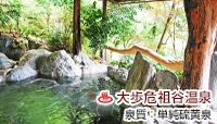 新祖谷温泉 ホテルかずら橋